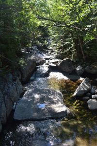 Adirondack Stream 2013