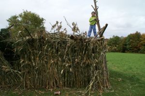 KONICA MINOLTA DIGITAL CAMERA